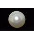 3.5 cts Cultured Pearl (Moti)