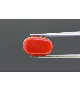 4.36 cts Natural Coral - Moonga (SKU:90121319)