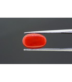 3.87 cts Natural Coral - Moonga (SKU:90121401)