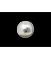 1.32 cts Natural Pearl (Moti)