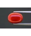 1.86 cts Unheated Natural Ruby (Manak)
