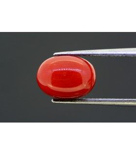 1.37 cts Unheated Natural Ruby (Manak)
