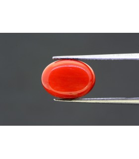 6.66 cts Natural Coral - Moonga (SKU:90119552)