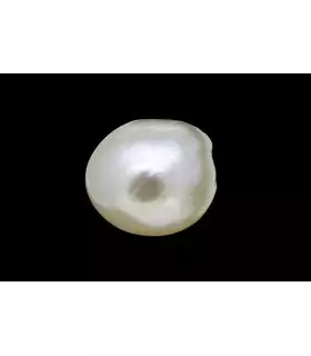 2.5 cts Natural Pearl (Moti)