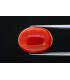 12.73 cts Natural Coral (Moonga)