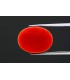 12.73 cts Natural Coral - Moonga (SKU:90130021)