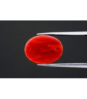 1.67 cts Natural Pearl - Moti (SKU:90091650)