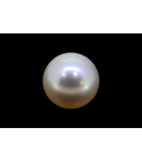 3.69 cts Cultured Pearl (Moti)