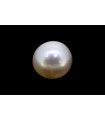 3.22 cts Cultured Pearl (Moti)