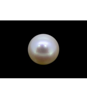 3.7 cts Cultured Pearl (Moti)