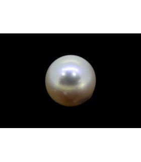 3.9 cts Cultured Pearl (Moti)