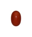 36.77 cts Natural Coral (Moonga)