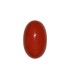 23.82 cts Natural Coral (Moonga)