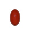 23.82 cts Natural Coral (Moonga)