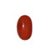 3.57 cts Cultured Pearl (Moti)