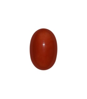 36.77 cts Natural Coral (Moonga)