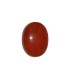 26.83 cts Natural Coral - Moonga (SKU:90035340)