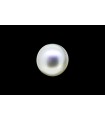 2.88 cts Cultured Pearl (Moti)