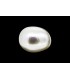 3.15 cts Natural Pearl - Moti (SKU:90128943)