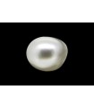 2.96 cts Natural Pearl (Moti)