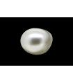 2.96 cts Natural Pearl (Moti)