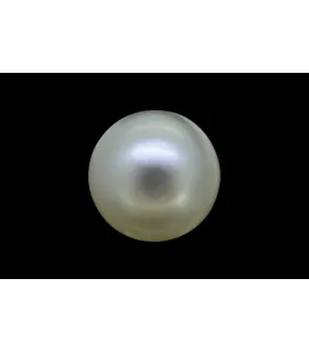 1.49 cts Natural Pearl (Moti)