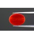 5.24 cts Natural Coral - Moonga (SKU:90129964)