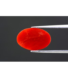 4.17 cts Natural Coral - Moonga (SKU:90130007)