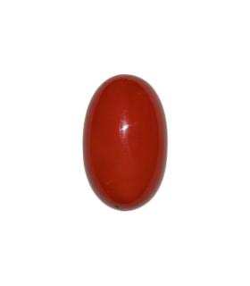 23.82 cts Natural Coral (Moonga)