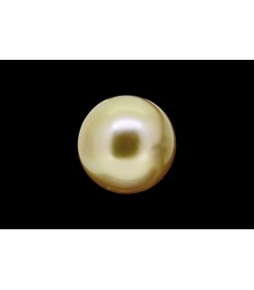 3.01 cts Natural Pearl (Moti)