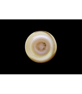 3.01 cts Natural Pearl - Moti (SKU:90124655)