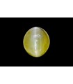 6.32 cts Natural Cats Eye (Lehsunia)