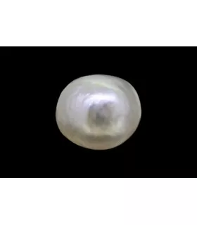 .83 ct Natural Pearl (Moti)