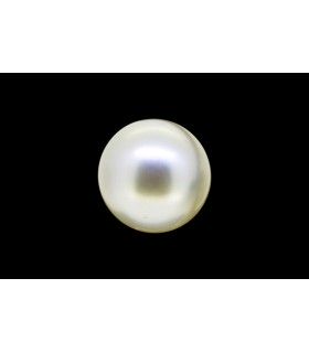 3.9 cts Cultured Pearl - Moti (SKU:90120893)