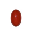 23.82 cts Natural Coral (Moonga)