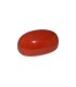 23.82 cts Natural Coral - Moonga (SKU:90035326)