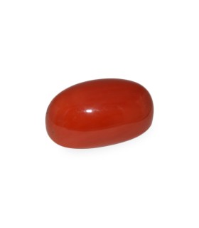 23.82 cts Natural Coral - Moonga (SKU:90035326)