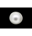 2.41 cts Natural Pearl (Moti)