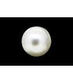 2.29 cts Natural Pearl (Moti)