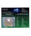 1.62 cts Natural Blue Sapphire (Neelam)