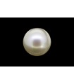 3.73 cts Cultured Pearl (Moti)