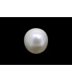 .76 ct Natural Pearl (Moti)