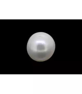 1.35 cts Natural Pearl (Moti)