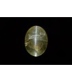 1.99 cts Natural Cats Eye (Lehsunia)