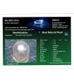 2.79 cts Natural Emerald (Panna)