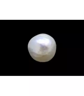.52 ct Natural Pearl (Moti)