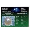 2.79 cts Natural Emerald (Panna)