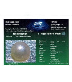 3.71 cts Natural Pearl - Moti (SKU:90140167)