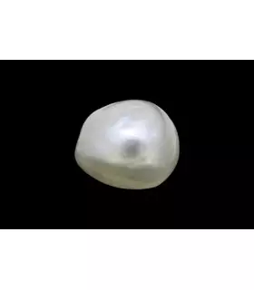 1.68 cts Natural Pearl (Moti)