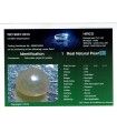 2.51 cts Unheated Natural Emerald (Panna)